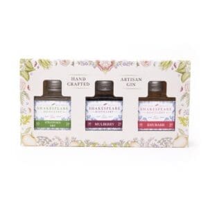 box of mini gin set